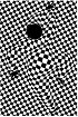 [Click to enlarge]